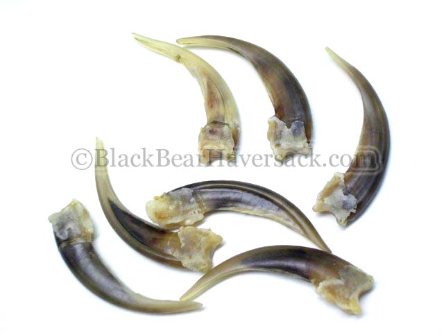 Badger Claw