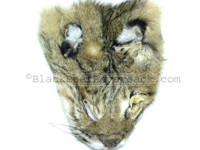 Bobcat Fur Bobcat Fur