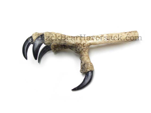 Claws & Talons