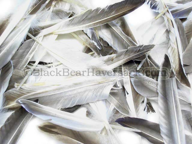 Duck Feathers