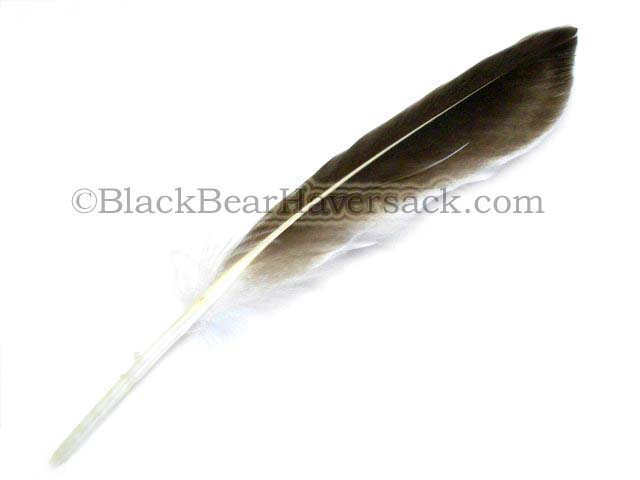 Feathers