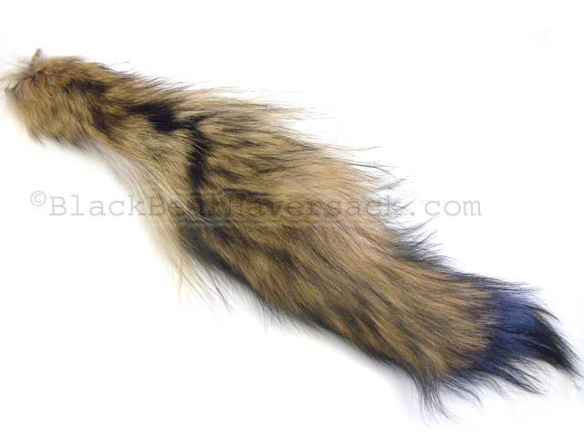 Coyote Tails