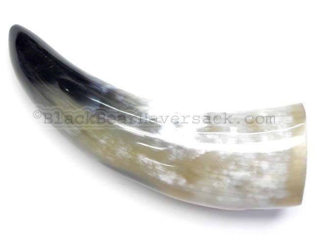 Small Polished Water Buffalo Horn