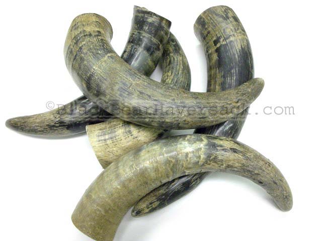Semi Polished Large Water Buffalo Horn