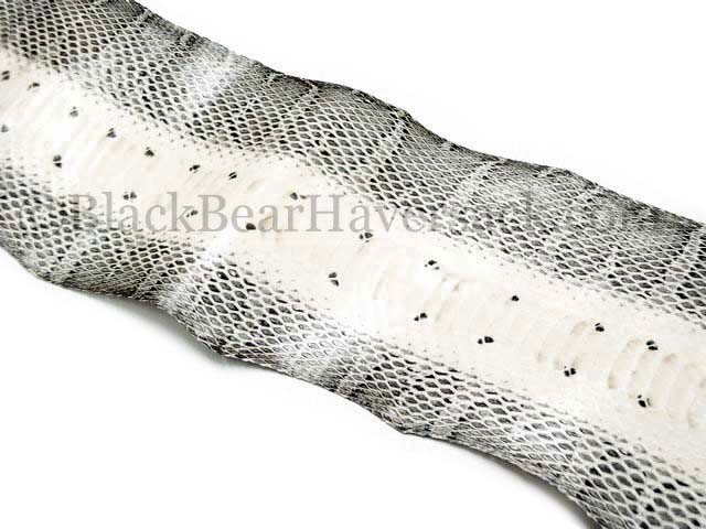 Snake Skin Snake Skin